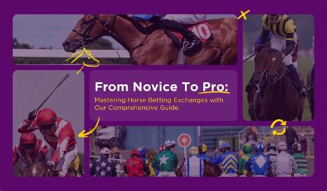 A Comprehensive Betting Exchanges Guide .